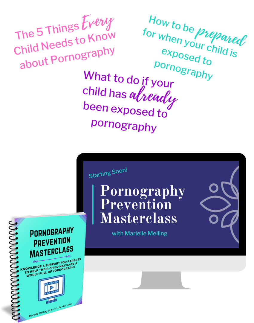 Pornography Prevention Masterclass and Workbook